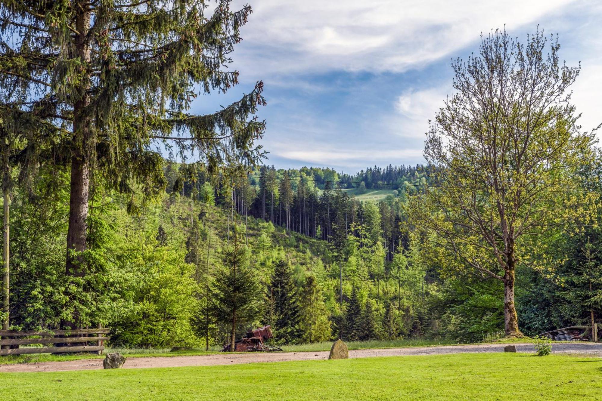 Pokoje U Marioli Wisla Bagian luar foto